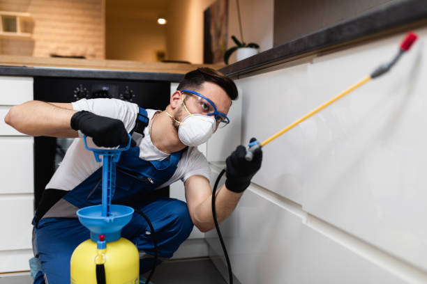 Best Best Pest Control Companies  in Lake Waccamaw, NC