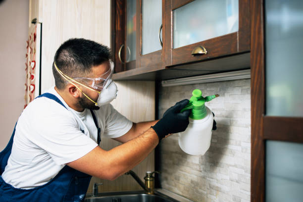 Best Wasp Removal Services  in Lake Waccamaw, NC