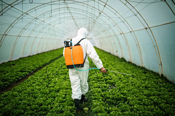 Best Pest Prevention Services  in Lake Waccamaw, NC