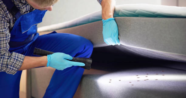 Best Pest Removal Services  in Lake Waccamaw, NC