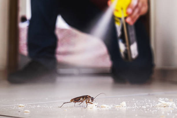 Flea Control Services in Lake Waccamaw, NC